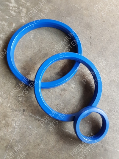 Ring Type Joint Gasket with Blue Coated PTFE