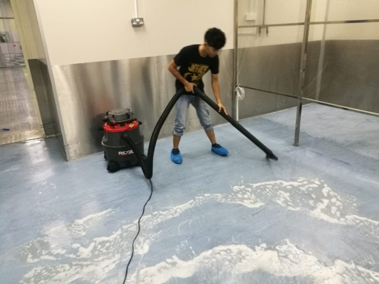 Vinyl Floor During Floor Polishing (3)