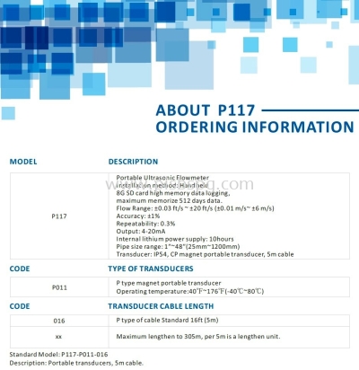 Portable Ultrasonic Flowmeter P117