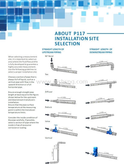 Portable Ultrasonic Flowmeter P117