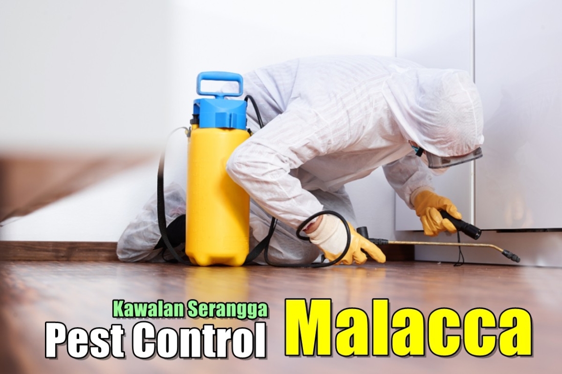 Pest Control Malacca Malacca / Ayer Keroh / Jasin Pest Control Merchant Lists