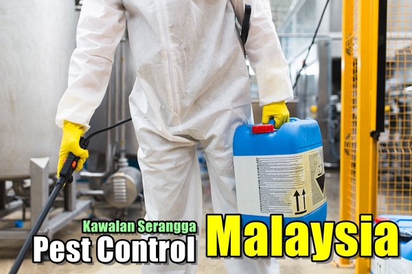 Pest Control Malaysia