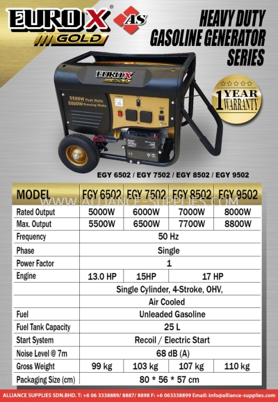 Heavy Duty Gasoline Generator Series