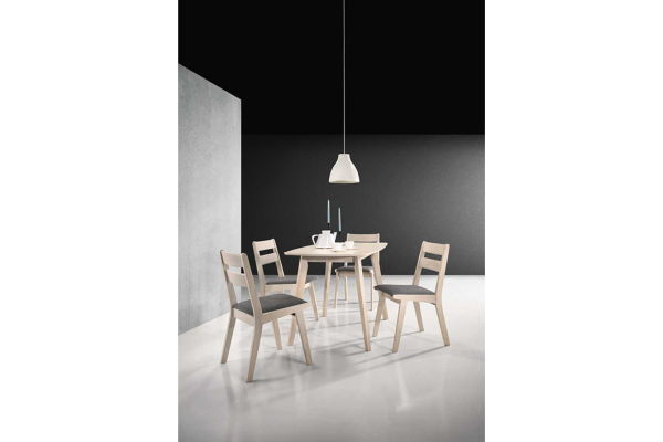 ALEXANDRA DINING SET 1+4