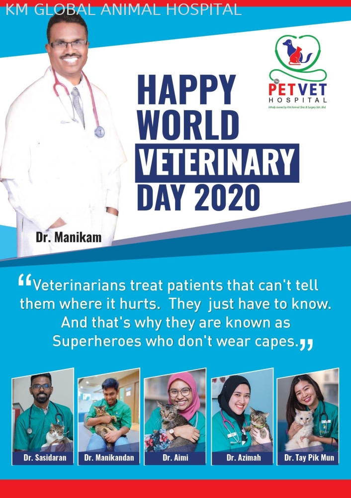 World Veterinary Day 2020