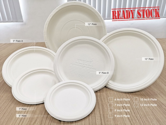 Recyclable Food Plates