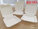 Recyclable Lunch Box Packaging