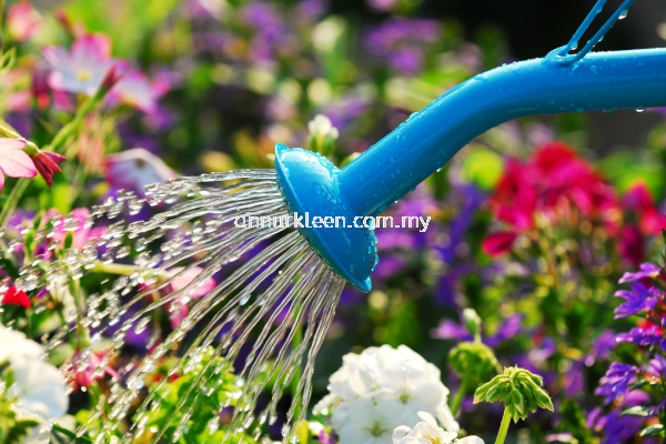 Plant Watering