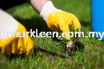 Weeding & Prevention Landscape Maintenance And Care