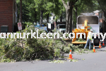 Tree Felling, Pruning and Refuse Removal Landscape Maintenance And Care