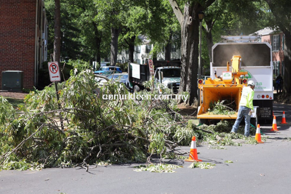 Tree Felling, Pruning and Refuse Removal