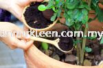 Plant Fertilizing Landscape Maintenance And Care