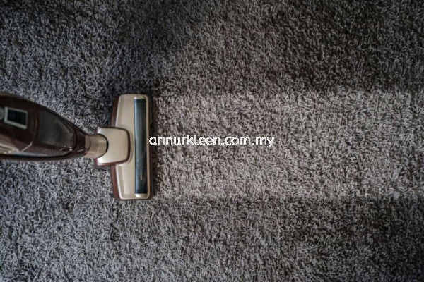 Carpet Cleaning & Shampooing