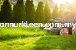 Grass Cutting and Lawn Moving Landscape Maintenance And Care