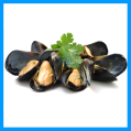 Whole Shell Black Mussel