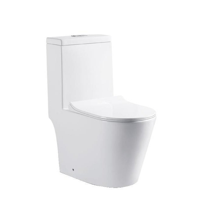 Reign WC-1006SP Toilet Bowl / Water Closet Bathroom / Washroom Choose Sample / Pattern Chart