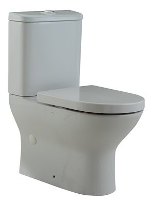 WBSC950078WW Toilet Bowl / Water Closet Bathroom / Washroom Choose Sample / Pattern Chart