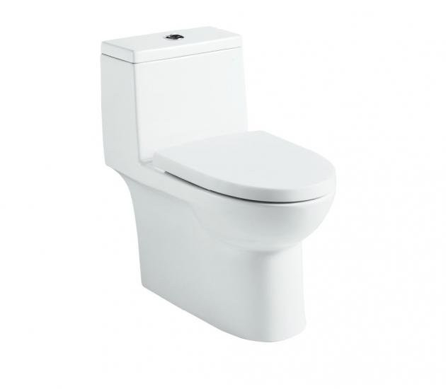 WC - ANCONA SYPHONIC 300 Toilet Bowl / Water Closet Bathroom / Washroom Choose Sample / Pattern Chart