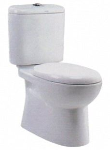 WC1031 Toilet Bowl / Water Closet Bathroom / Washroom Choose Sample / Pattern Chart