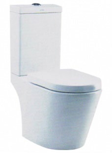 WC1033 Toilet Bowl / Water Closet Bathroom / Washroom Choose Sample / Pattern Chart