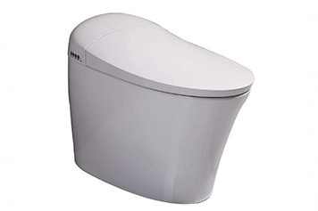 WC1055 Toilet Bowl / Water Closet Bathroom / Washroom Choose Sample / Pattern Chart