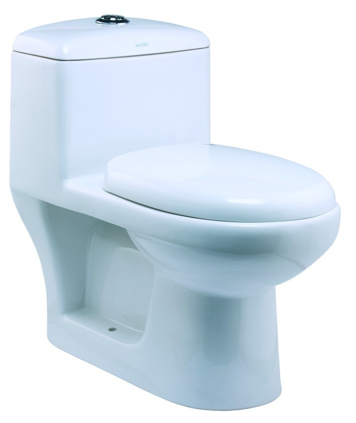 WC1018 Toilet Bowl / Water Closet Bathroom / Washroom Choose Sample / Pattern Chart