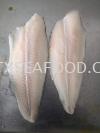 Dory Fillet AAA (NO GLZ) FROZEN FISH MEAT FROZEN FISH