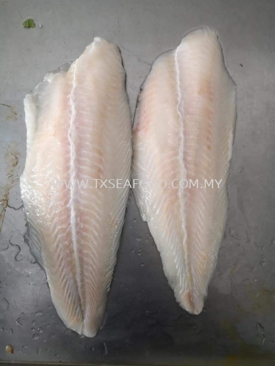 Dory Fillet AAA (NO GLZ)