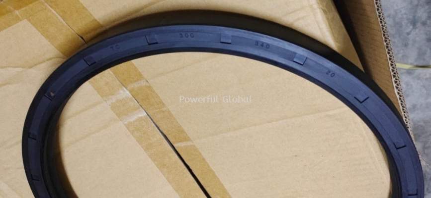 TC Oil Seal 300 ID x 340 OD x 20mm T