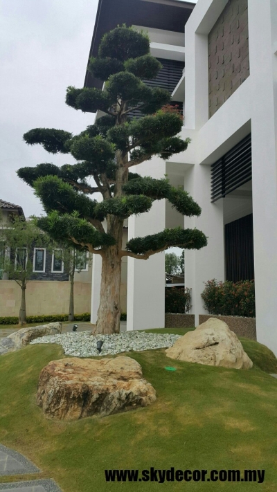 Perkhidmatan Tanam Pokok Rumah Di Johor Bahru