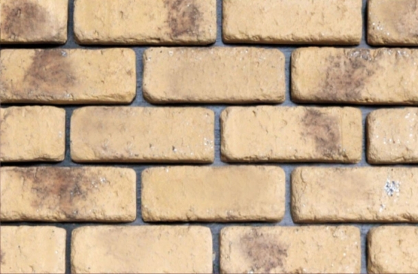 Cobble Brick - TS8439 Yellow