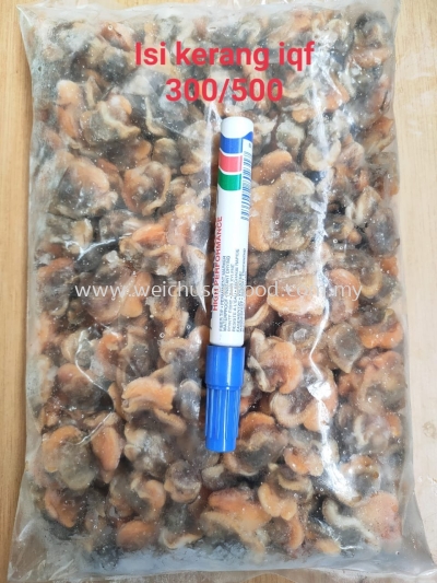 Isi Kerang IQF 300/500