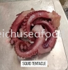 Squid Tentacle Frozen Squid