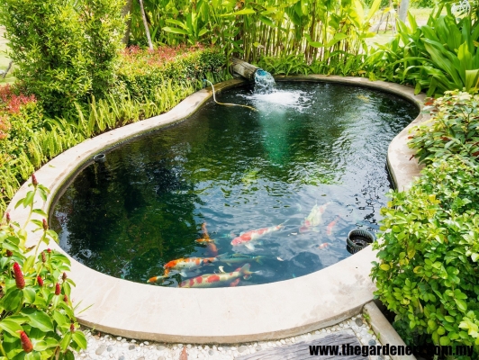 Contoh Reka Bentuk Kolam Ikan  Di Kuala Lumpur