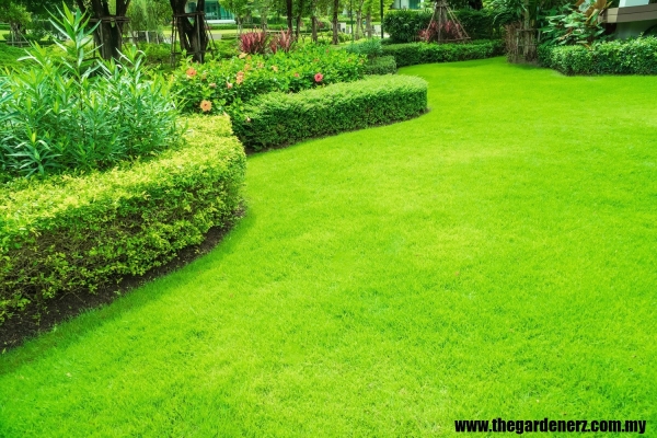 Landscape Design & Grass Planting Service Kuala Lumpur 