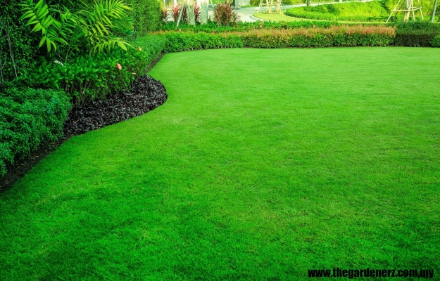 Landscape Design & Pave SOD Service Kuala Lumpur 