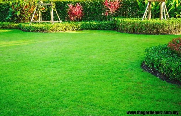 Landscape Design & Pave SOD Service Kuala Lumpur 