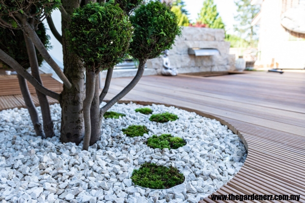 Landscape Design & Trees Planting Service Kuala Lumpur 