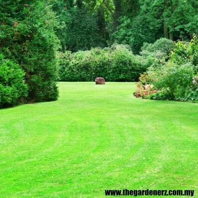 Landscape Design & Grass Planting Service Kuala Lumpur 