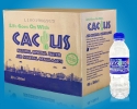 CACTUS MINERAL WATER 350ML Others