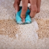 Upholstery Stain Removal Carpet Cleaning Services