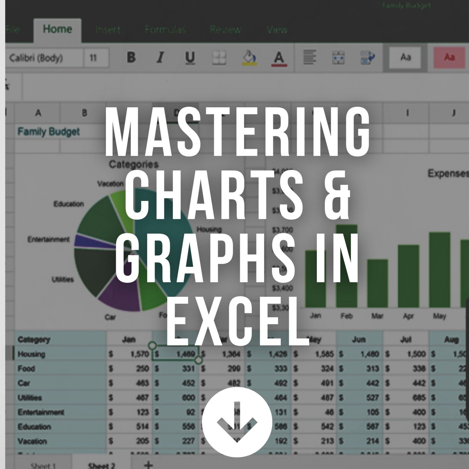 Mastering Charts & Graphs in Excel MICROSOFT OFFICE TRAINING Microsoft Office Application 