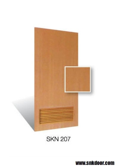 SKN207