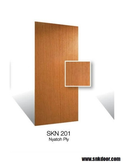 SKN201