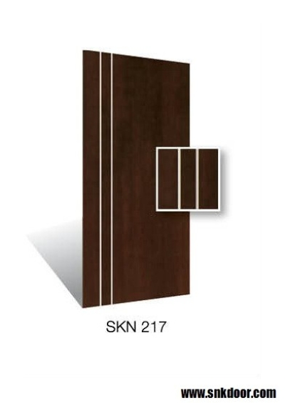 SKN217