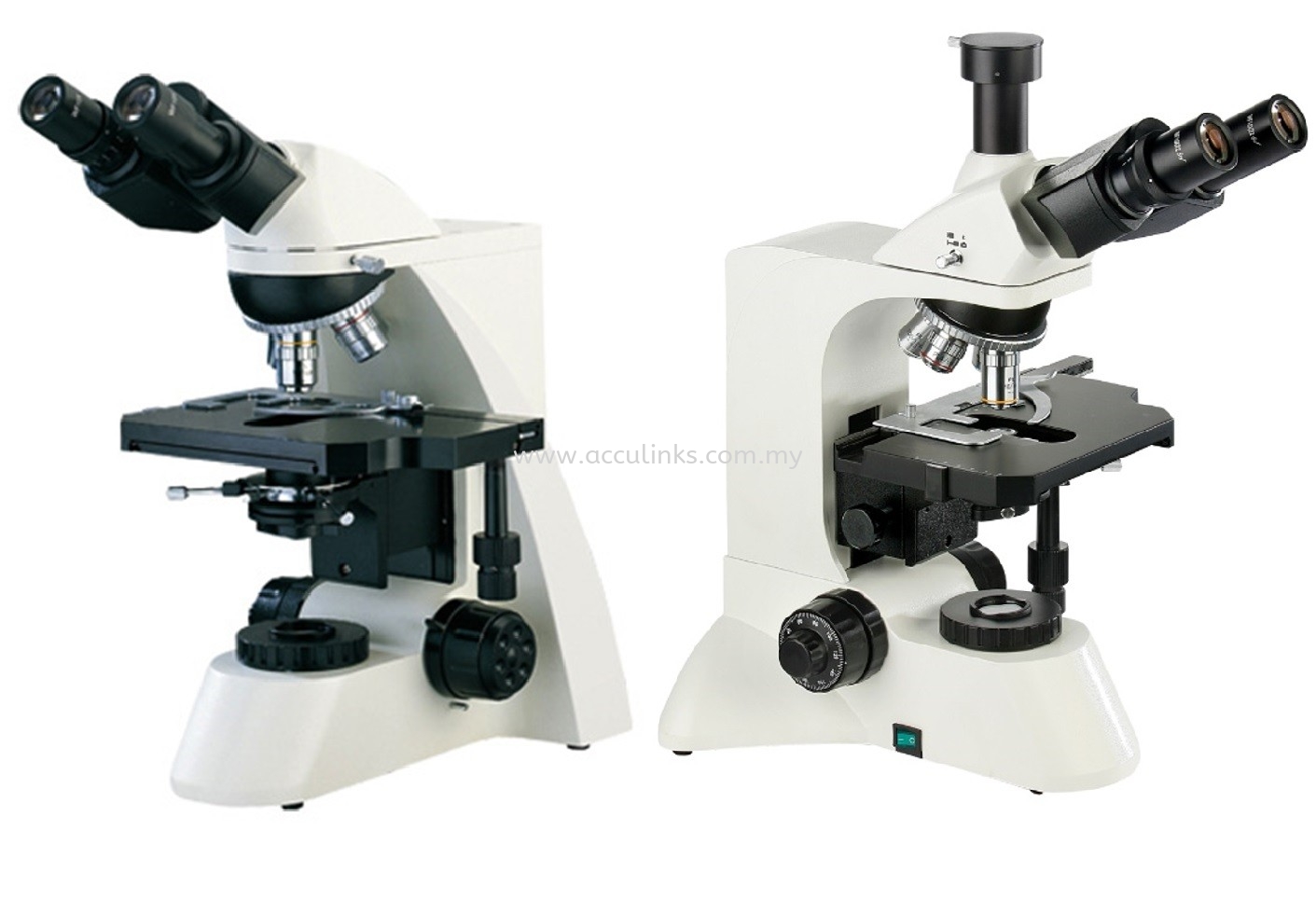 Compound Microscope