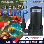 Submersible Water Pump