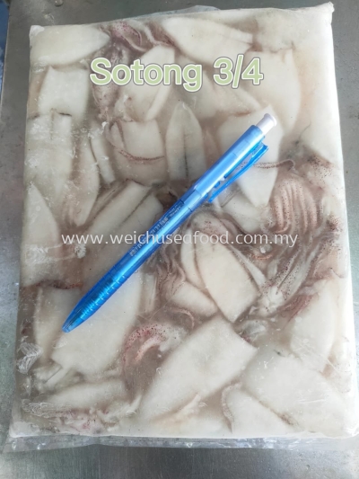 Sotong 3/4