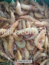 Udang Besar PK Fresh Shrimp