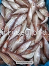 Ikan Kerisi Merah Fresh Fish